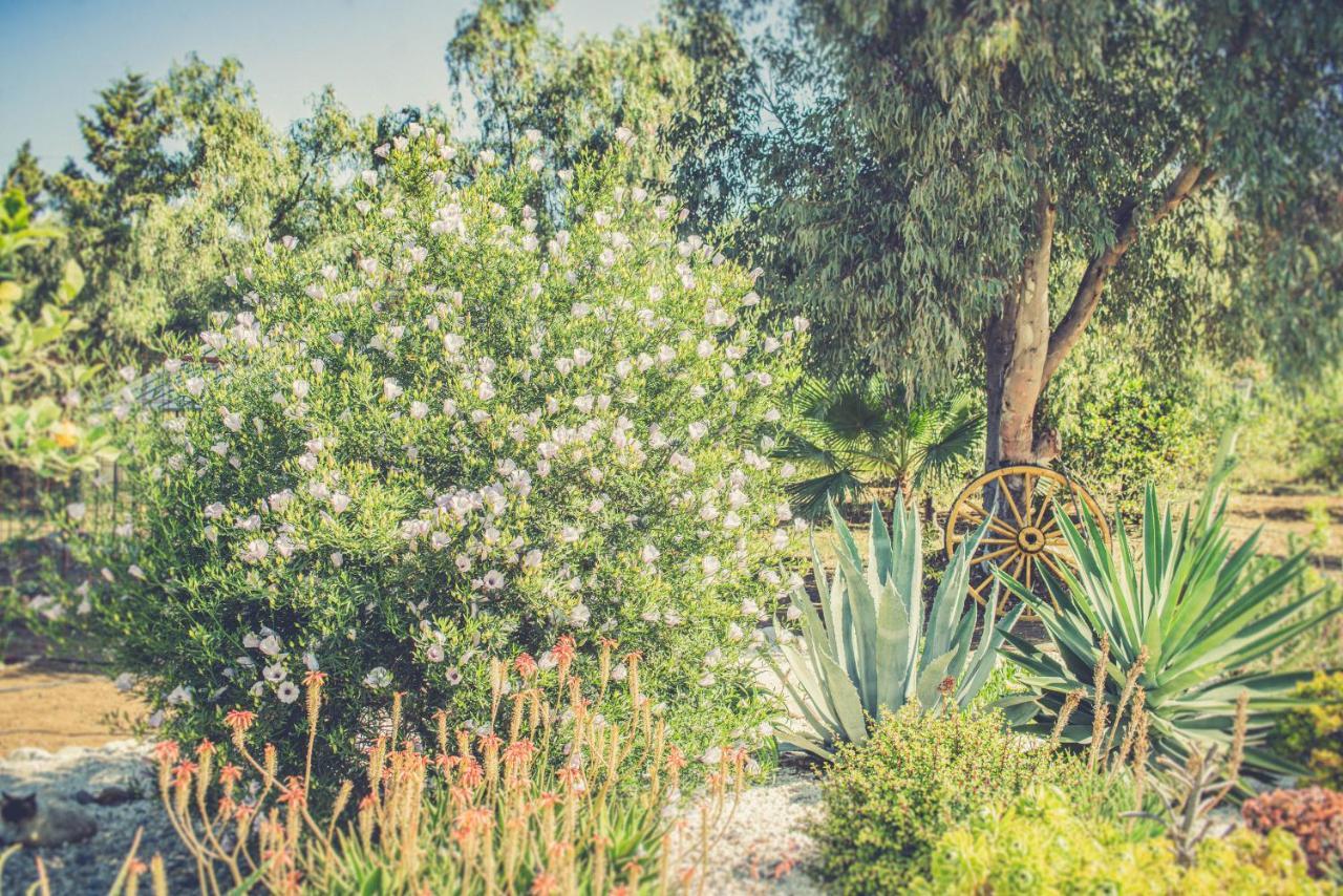 Finca El Limonar Alora Exteriér fotografie
