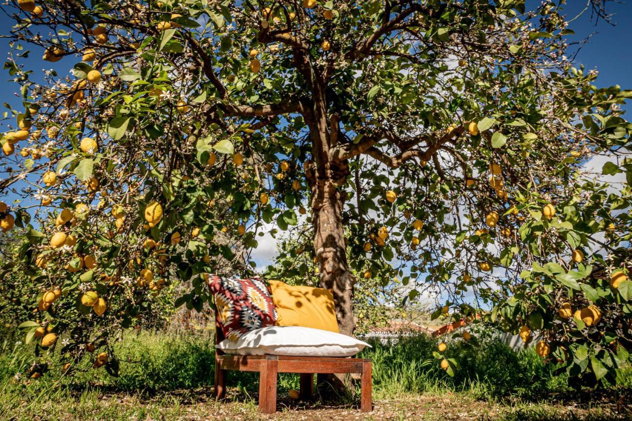 Finca El Limonar Alora Exteriér fotografie