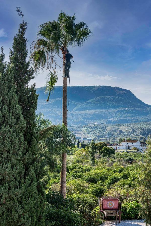Finca El Limonar Alora Exteriér fotografie